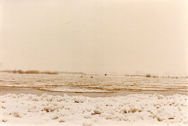 Eisgang auf der Elbe
