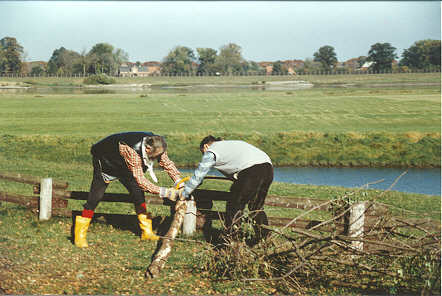 Ist das ein S&auml;gen....