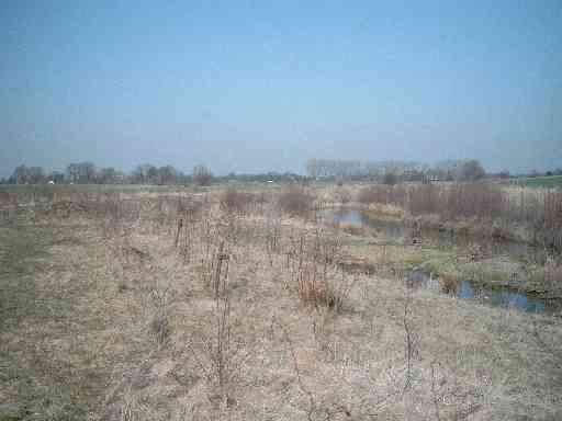 Der renaturierte Massener Bach